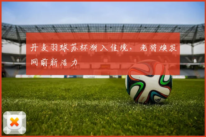丹麦羽球苏杯渐入佳境，老将焕发网前新活力