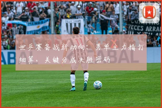 世乒赛备战新动向：男单主力精打细算，关键分成决胜密码