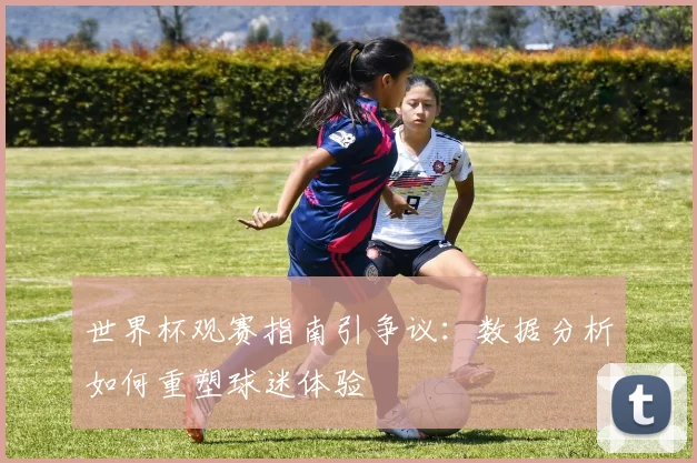 世界杯观赛指南引争议：数据分析如何重塑球迷体验